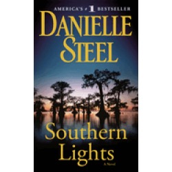 southern lights a novel