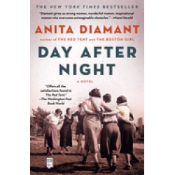 day after night a novel