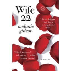 wife 22 a novel