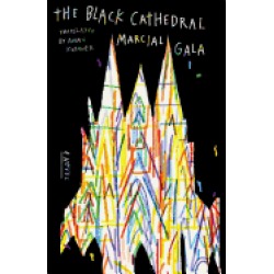 black cathedral a novel