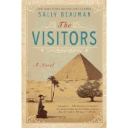 visitors a novel