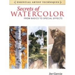 secrets of watercolor from basics to special effects