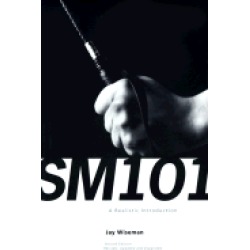 sm 101 a realistic introduction