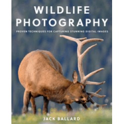 wildlife photography proven techniques for capturing stunning digital image