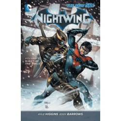nightwing vol 2 night of the owls