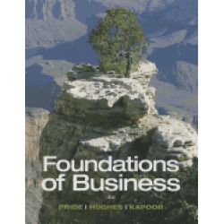 foundations of business standalone book