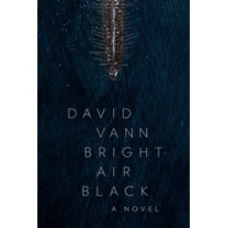 bright air black a novel