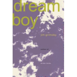 dream boy a novel