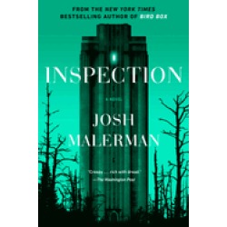inspection a novel